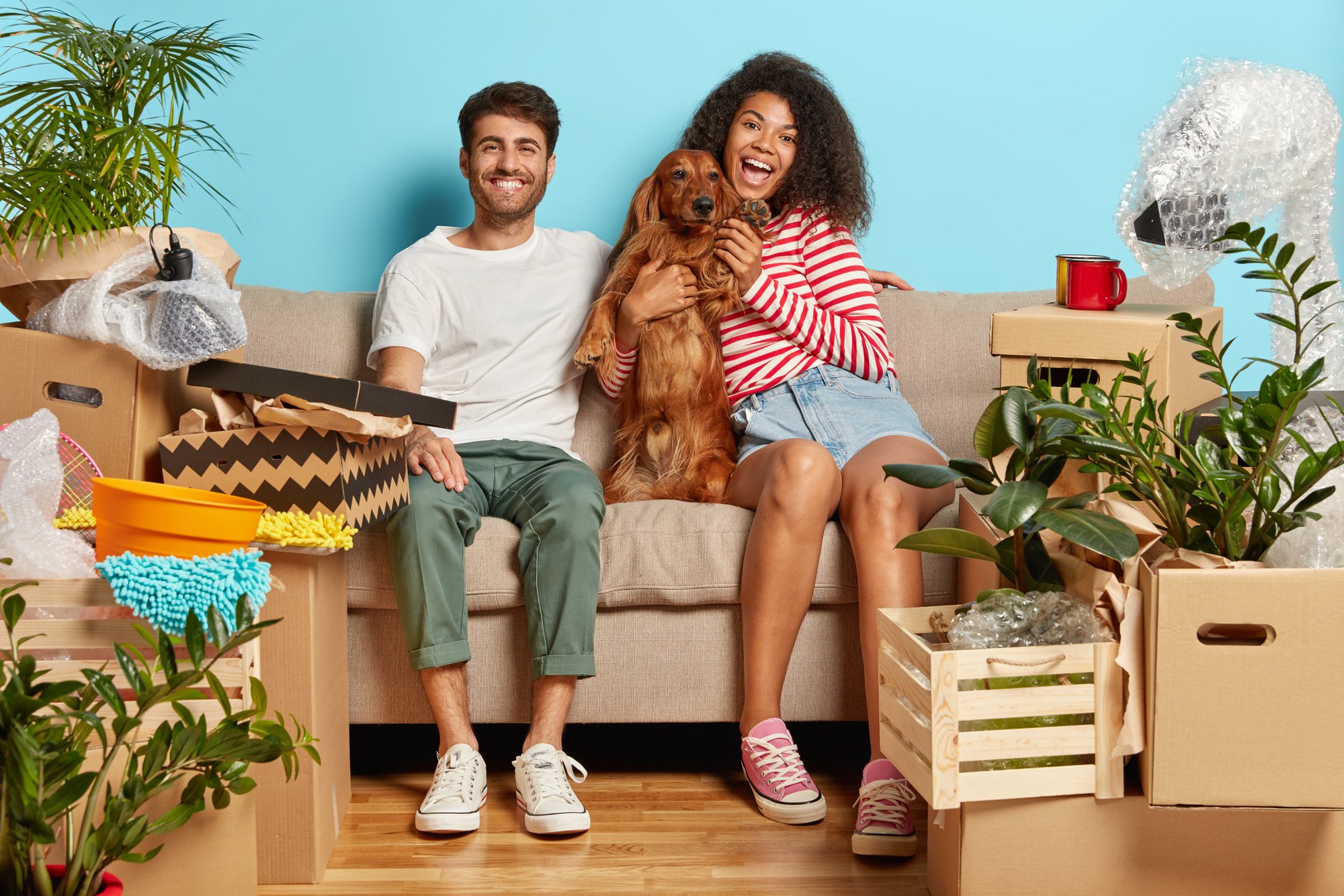 Pareja con perro rodeada de cajas de mudanza